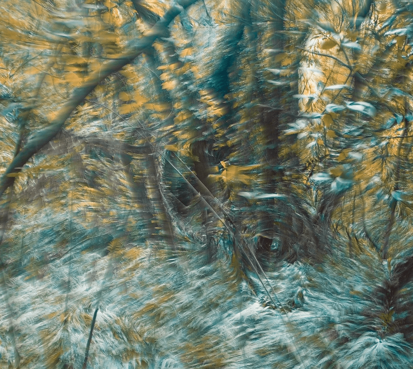 Portrait of Nathan Brooks