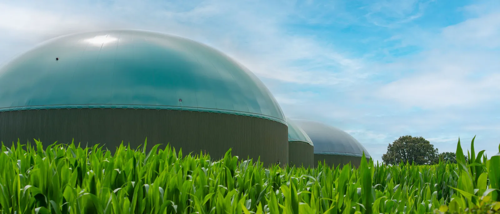 Biomethane Investment in Ukraine: Building Bankable, RED III-Ready Projects