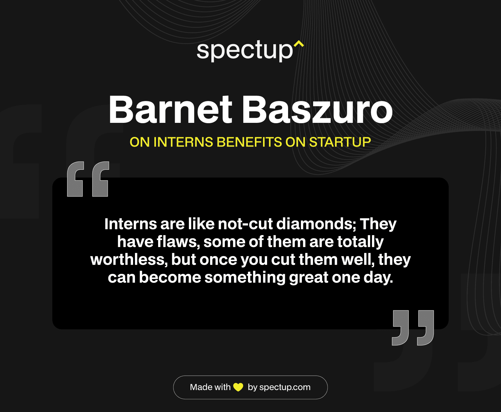 Infographic: Barnet Baszuro on Interns Benefits on Startup
