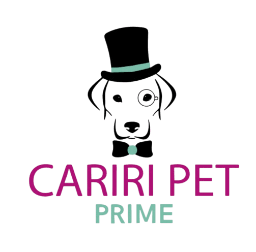 Main Logo