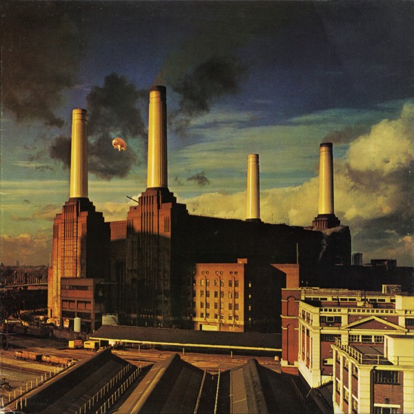 image of animals pink floyd