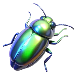 Get Rid of Beetles