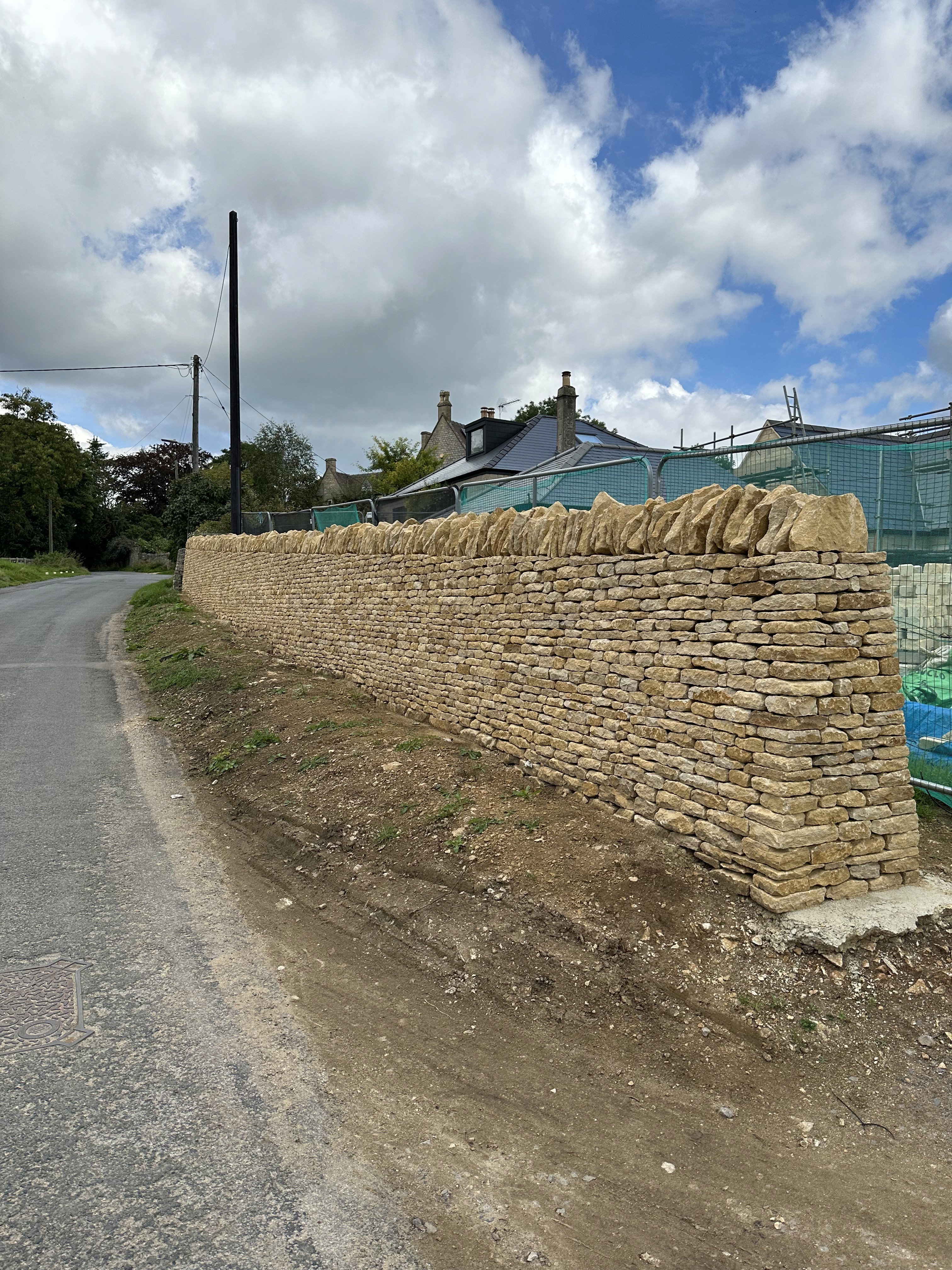 a group of people laying on top of a lush green field