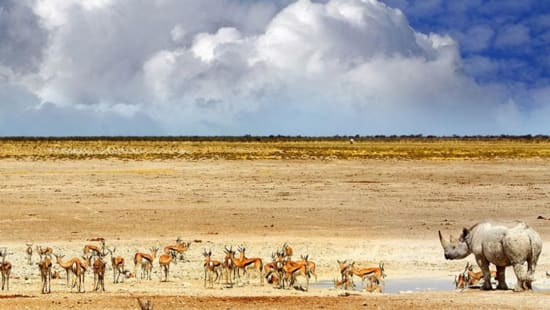 Namibia Protected Areas & Conservancies