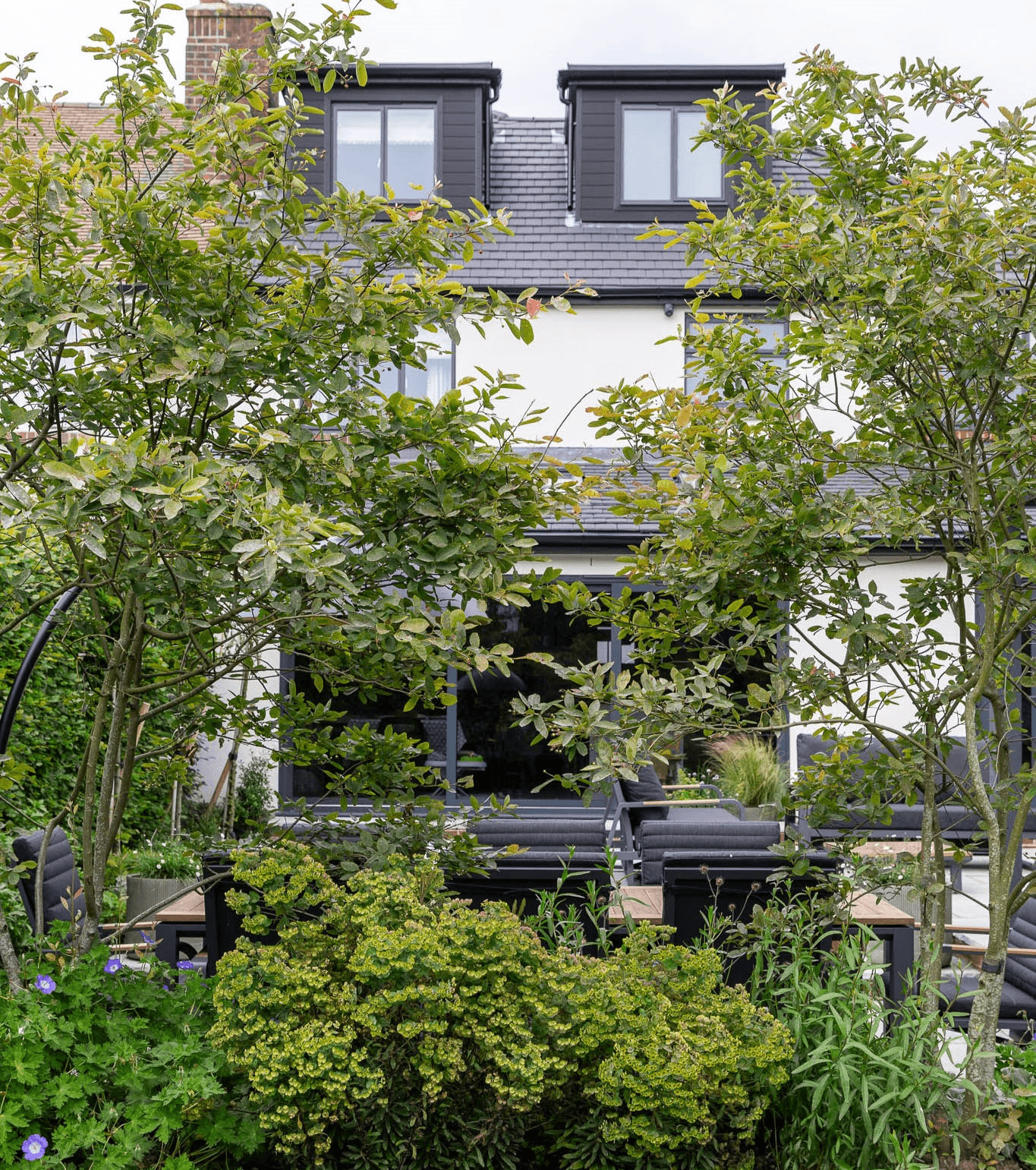 A garden scene featuring tall, purple columbine flowers standing prominently against a backdrop of a wooden fence, surrounded by delicate purple, blue and white blooms, basking in soft, natural sunlight.