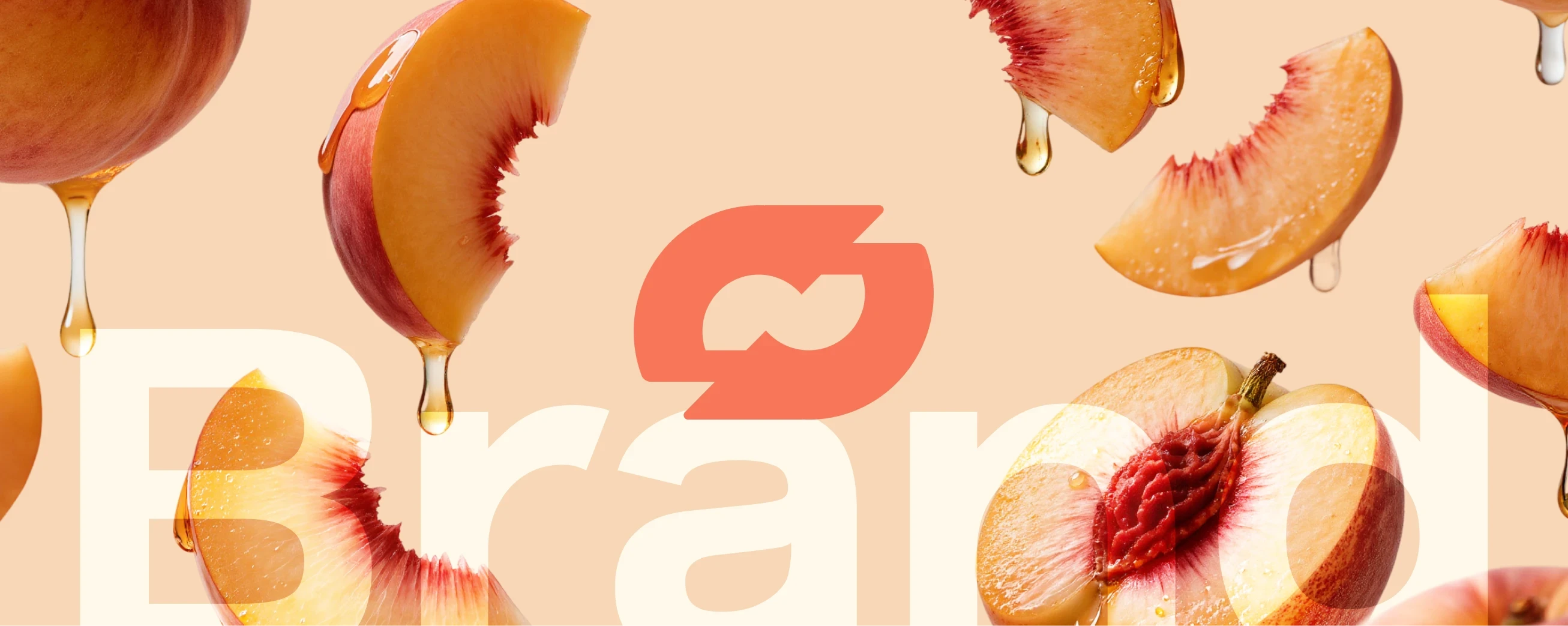 Project M, dog portrait with warm sunlight background