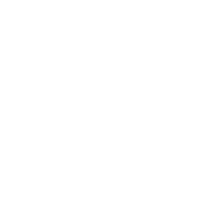 VFL Bochum
