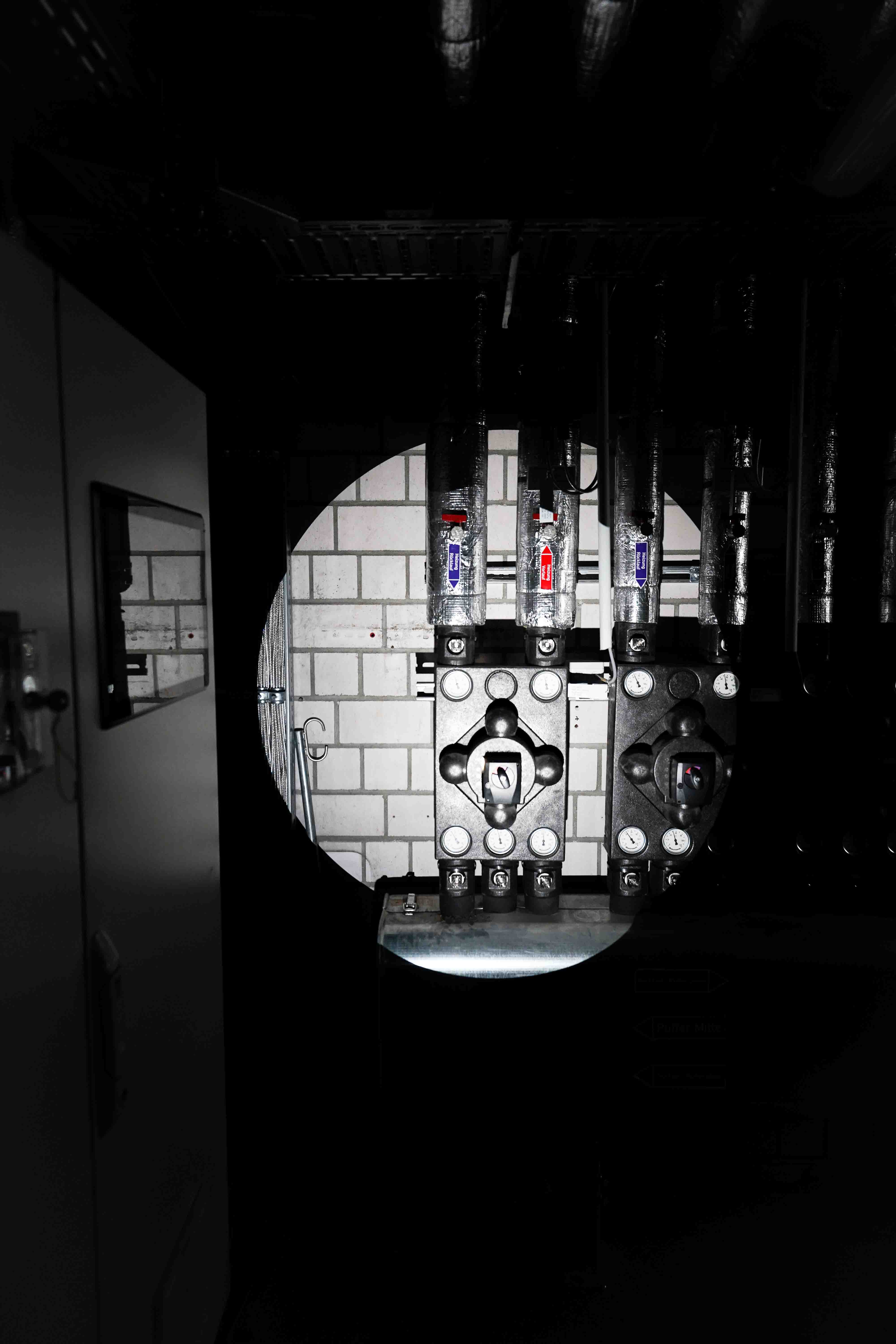Galeriebild 1
