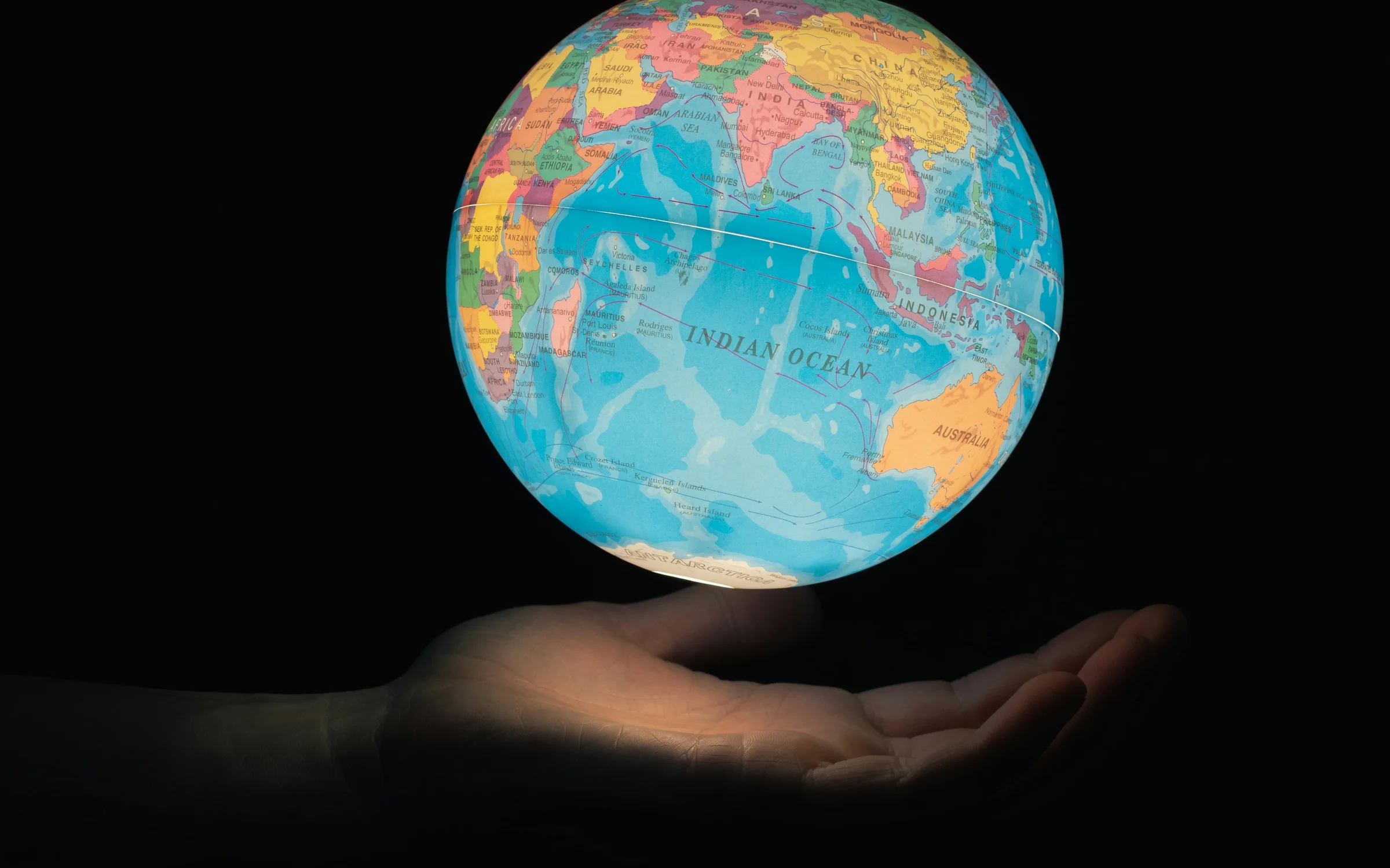 Language Learning industry: digital products by Alpha Expansion