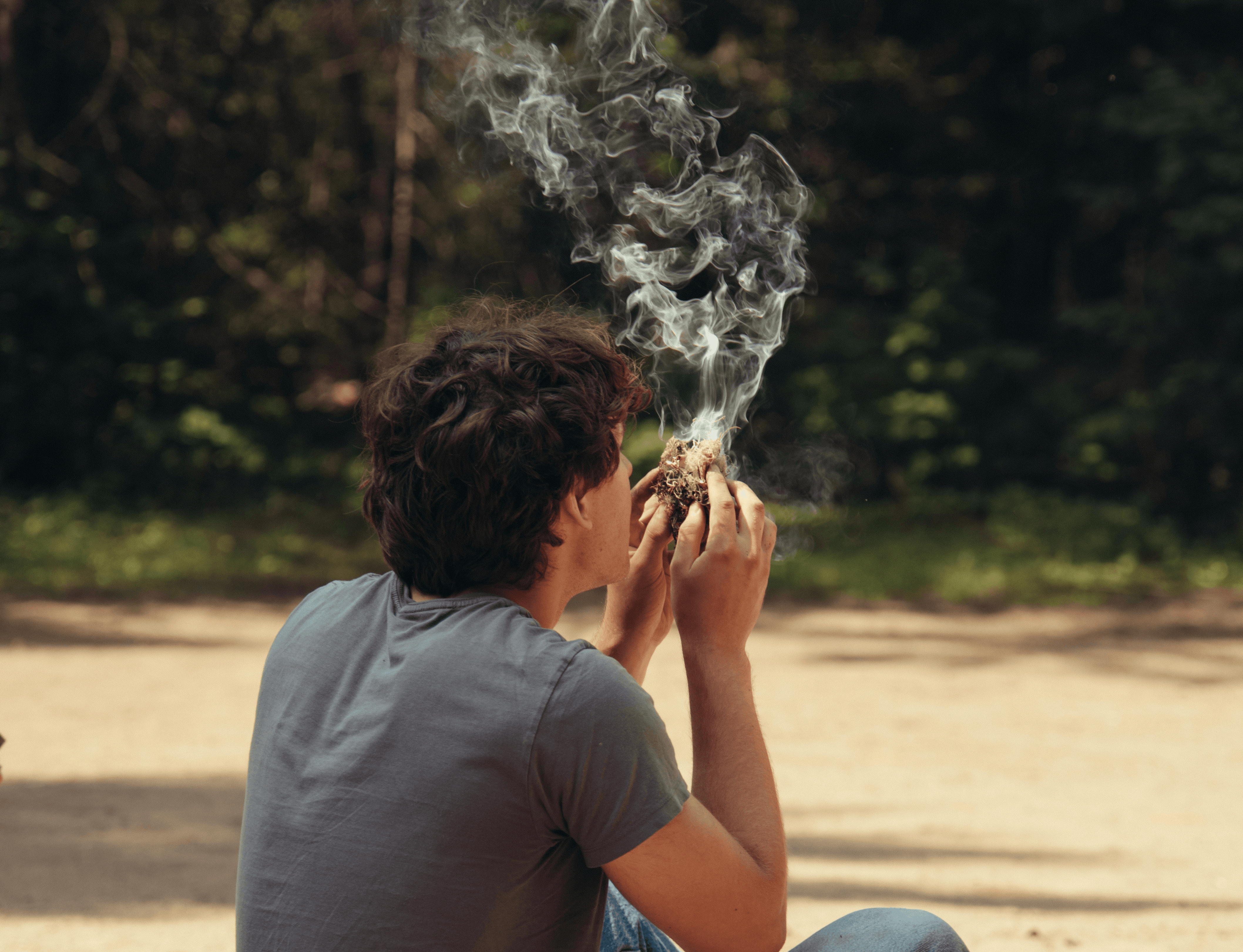 Here comes the alt text