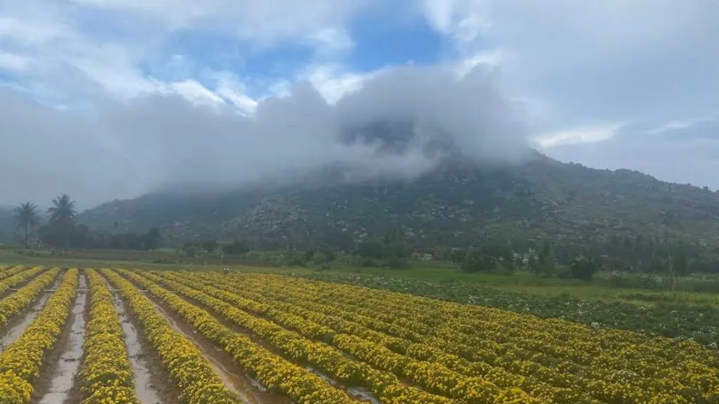 Skandagiri Hill Near Bangalore