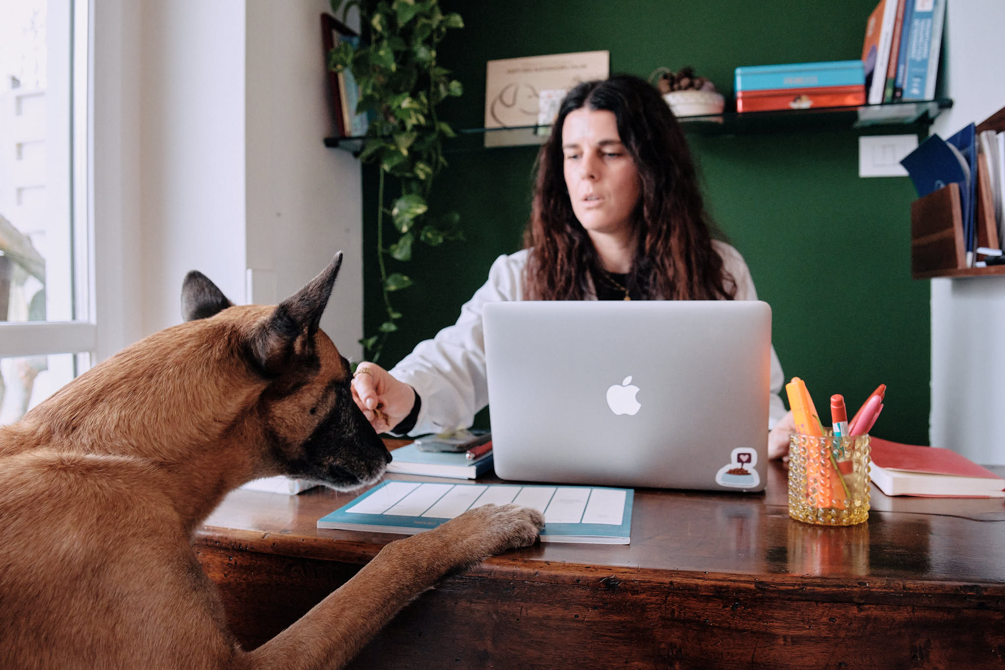 A woman working at a desk with a laptop, while a brown dog sits attentively beside her, surrounded by plants and stationery.