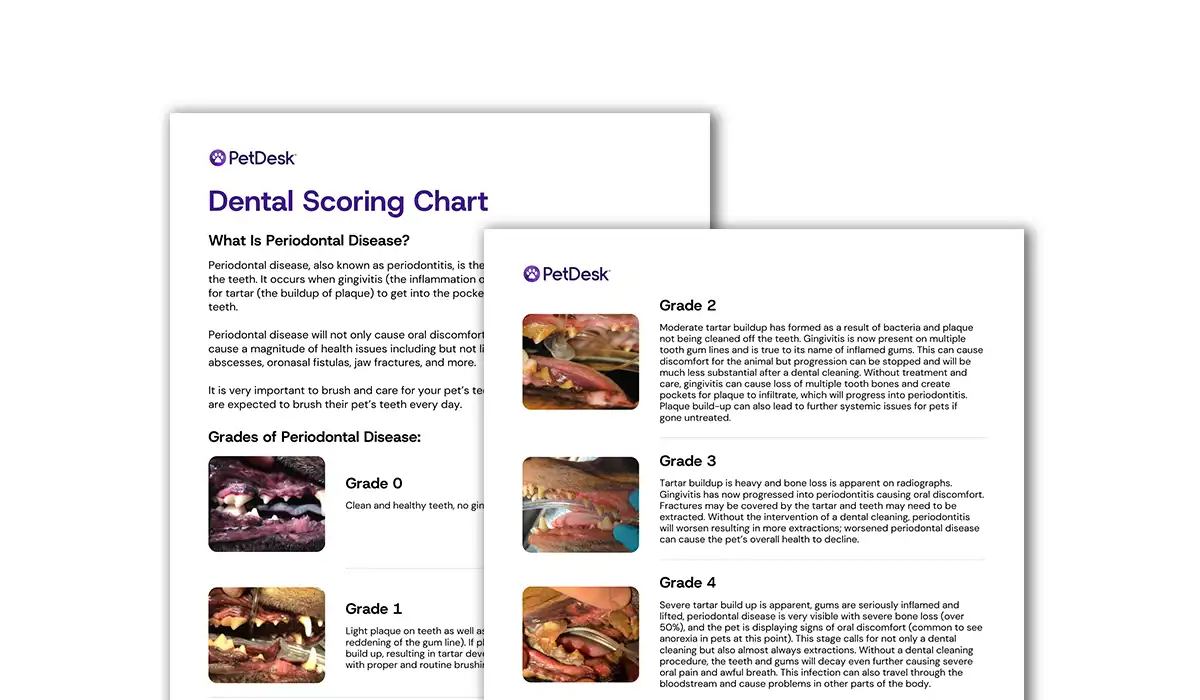 Dental Scoring Chart|PetDesk's Dental Scoring Chart
