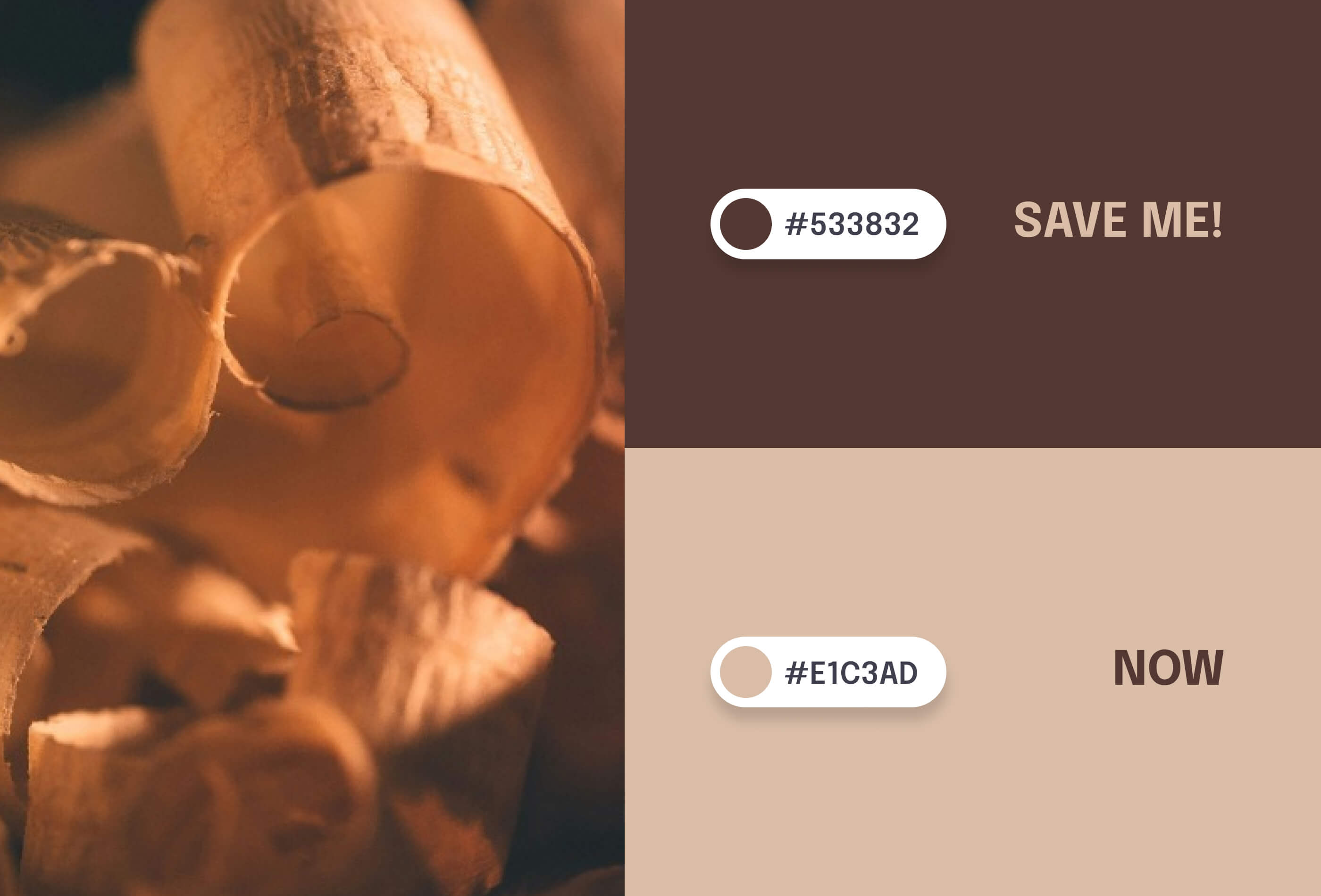 Top 5 best color combination for ui design_Earthy Elegance