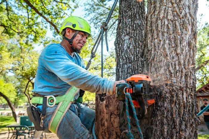 Arborist in a helmet cutting a tree trunk with a chainsaw