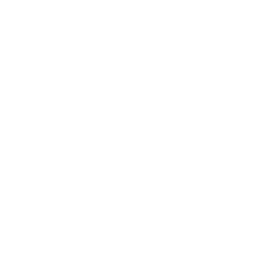 brown bear yoga logo