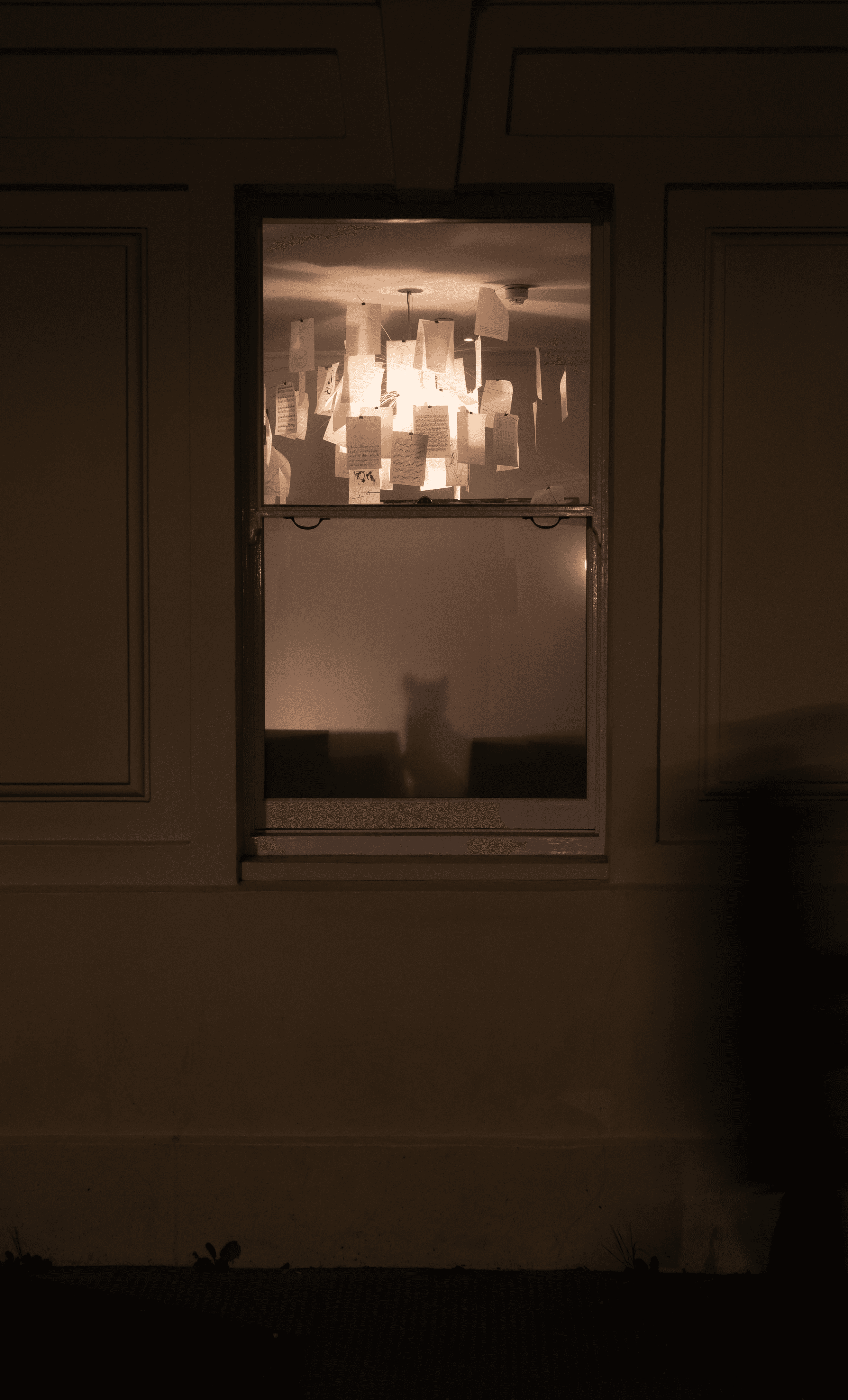 Cat in the window, London