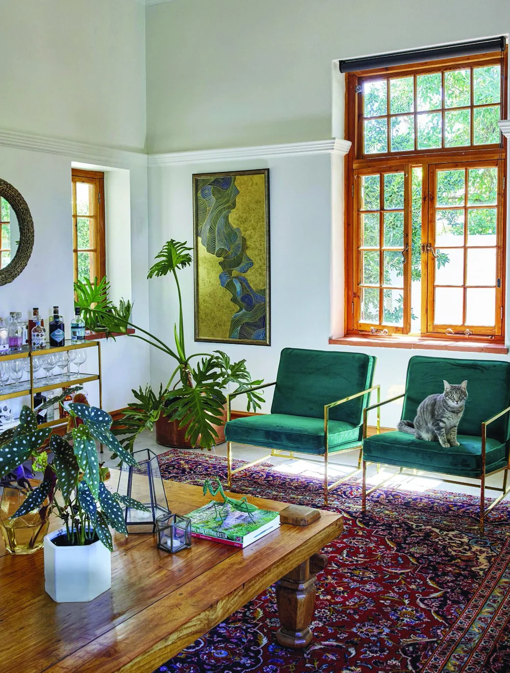 Cozy living room with green chairs, cat, large window, and vibrant rug.