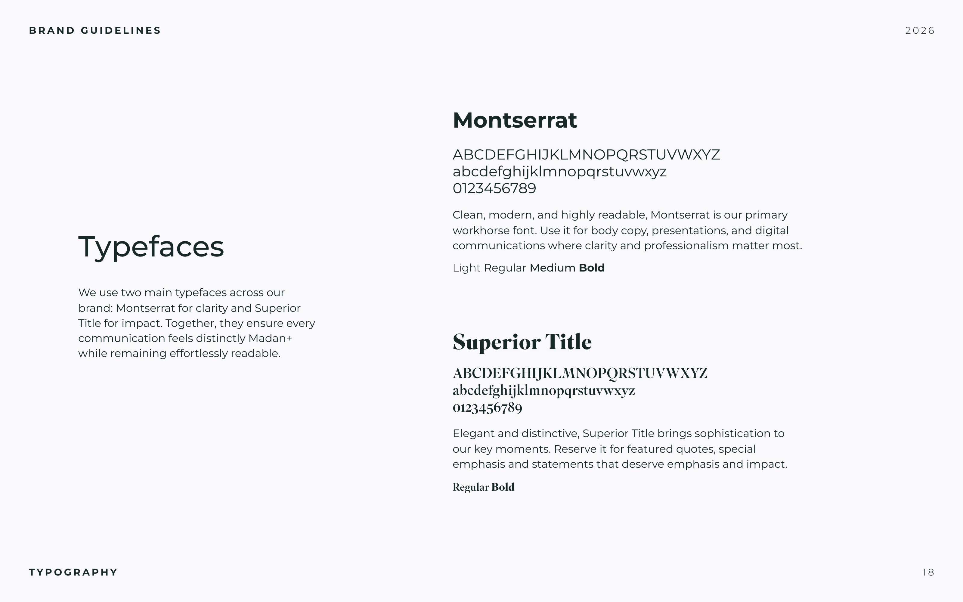 Brand Design + Marketing artwork 19