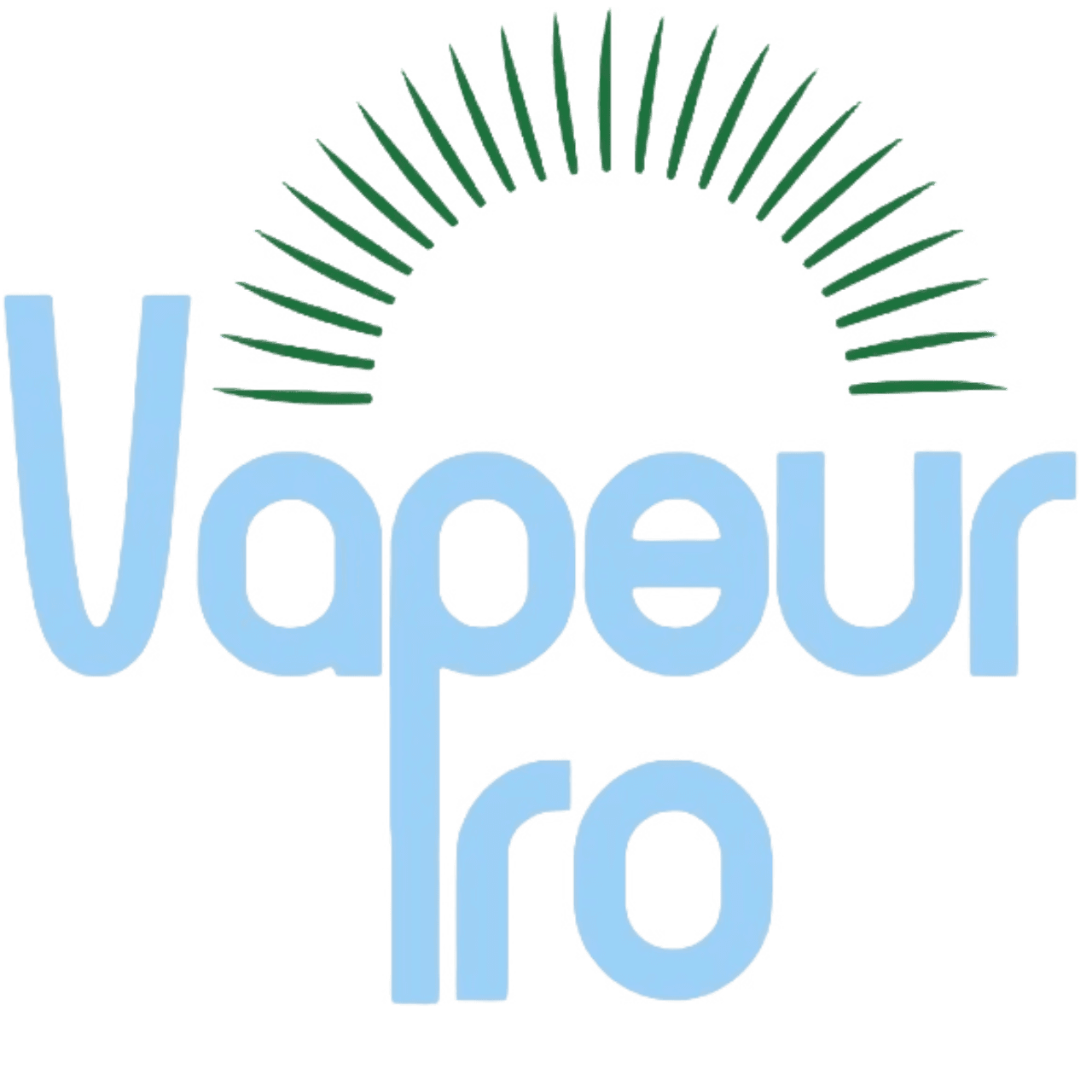 Logo de l'entreprise Vapeur pro