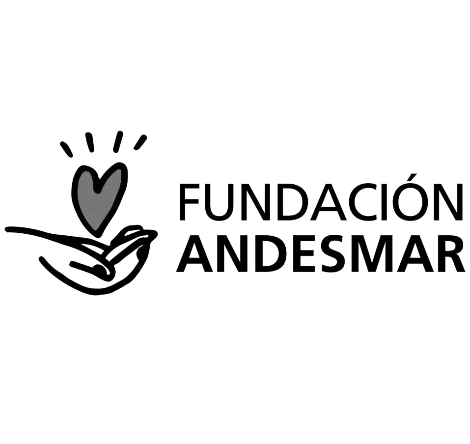 Fundación Andesmar's logo.