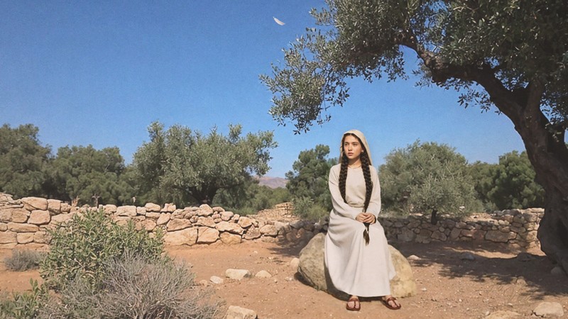 Sacred artwork by Faith and Verse. © Faith and Verse. A young maiden seated beneath an olive tree in the ancient Near East, wearing simple light garments, surrounded by stone walls and sparse vegetation under clear daylight, depicting restrained human presence within a biblical landscape shaped by waiting, covenant, and quiet expectation.