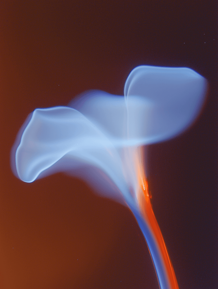 Service Image 02