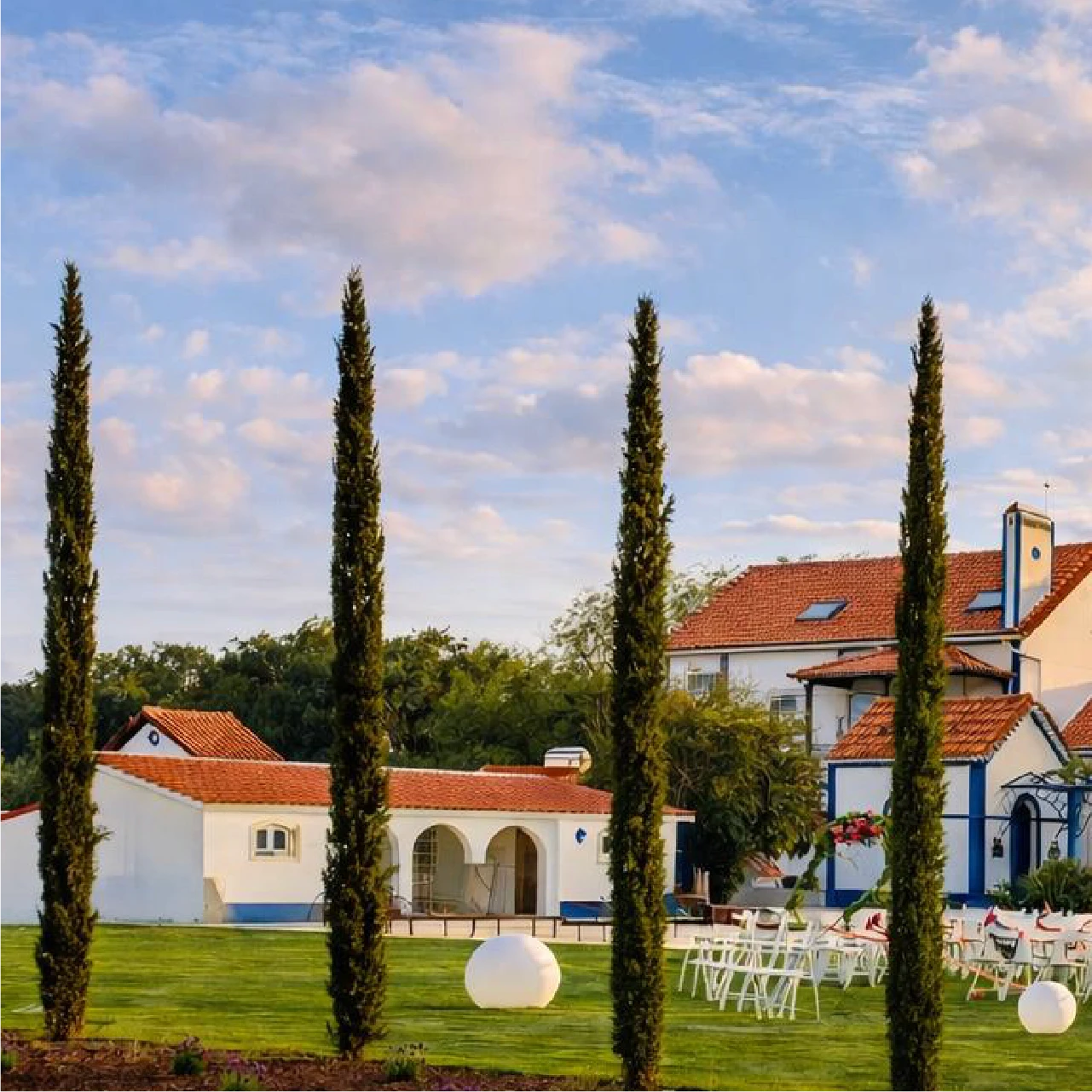 a view of a hilly area with a few trees