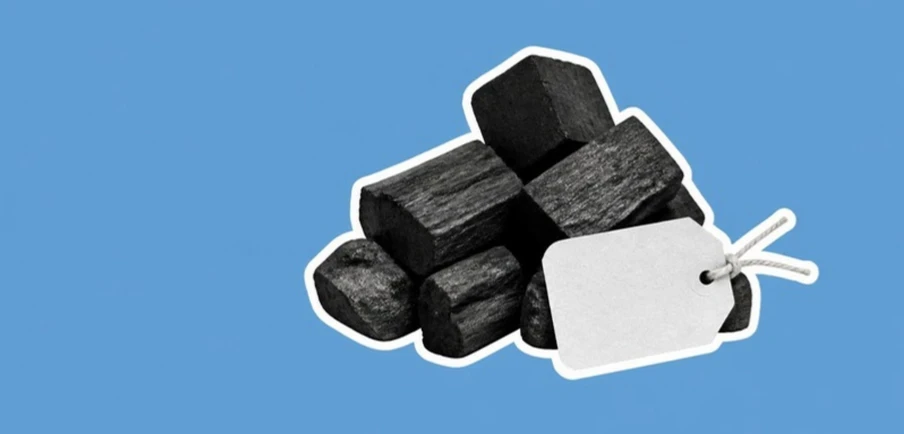 Biochar with a price tag