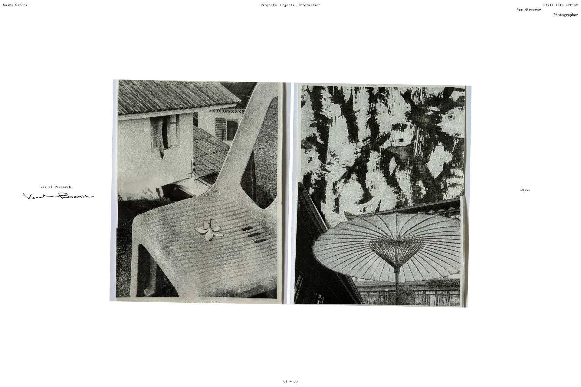 Screenshot of Sasha Satchi website