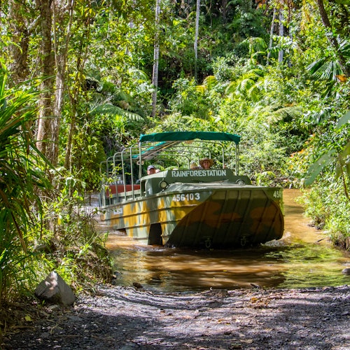 A vehicle labeled "Rainforestation" moves through a shallow stream in a dense, green rainforest setting.