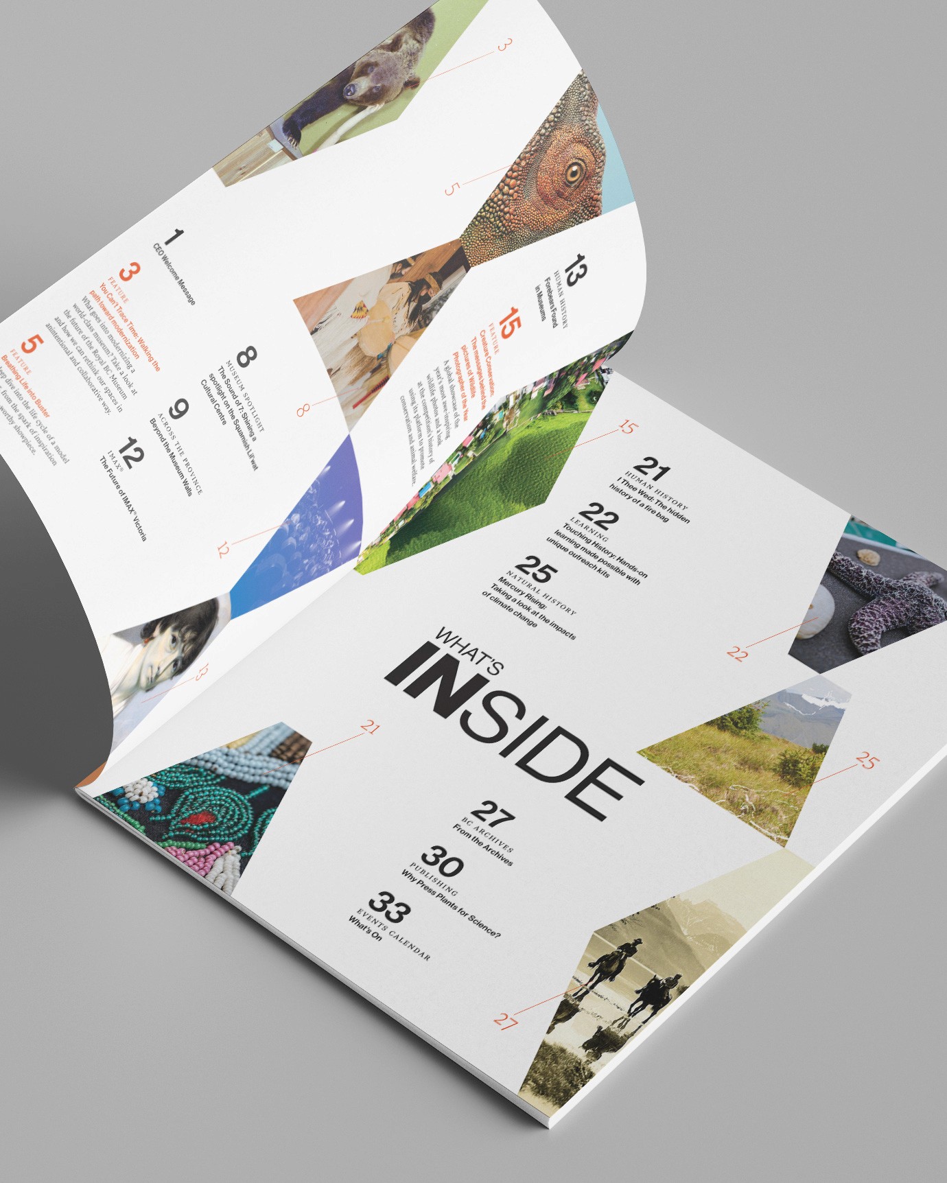 table of contents inside a magazine with the heading What's Inside and thumbnails images of magazine features