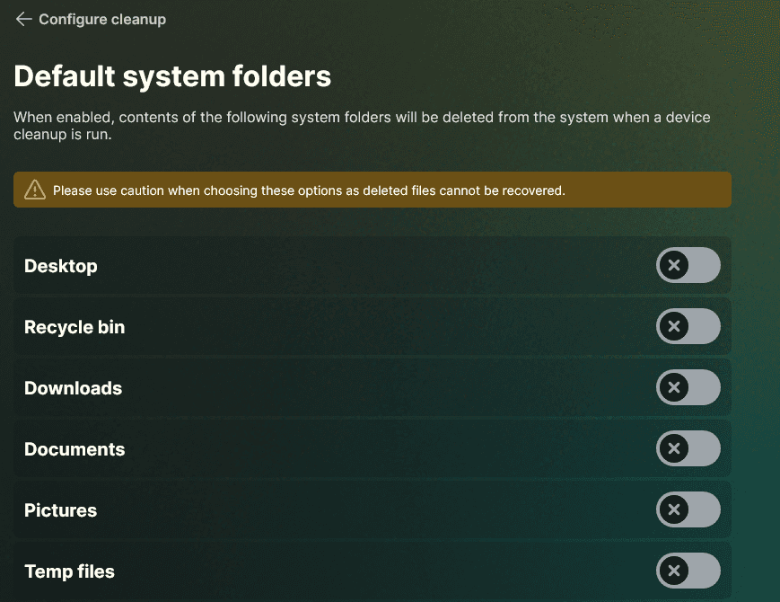Part of the Cleanup settings where the user selects what type of data is included
