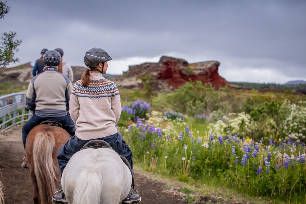 骑士和一架苔藓