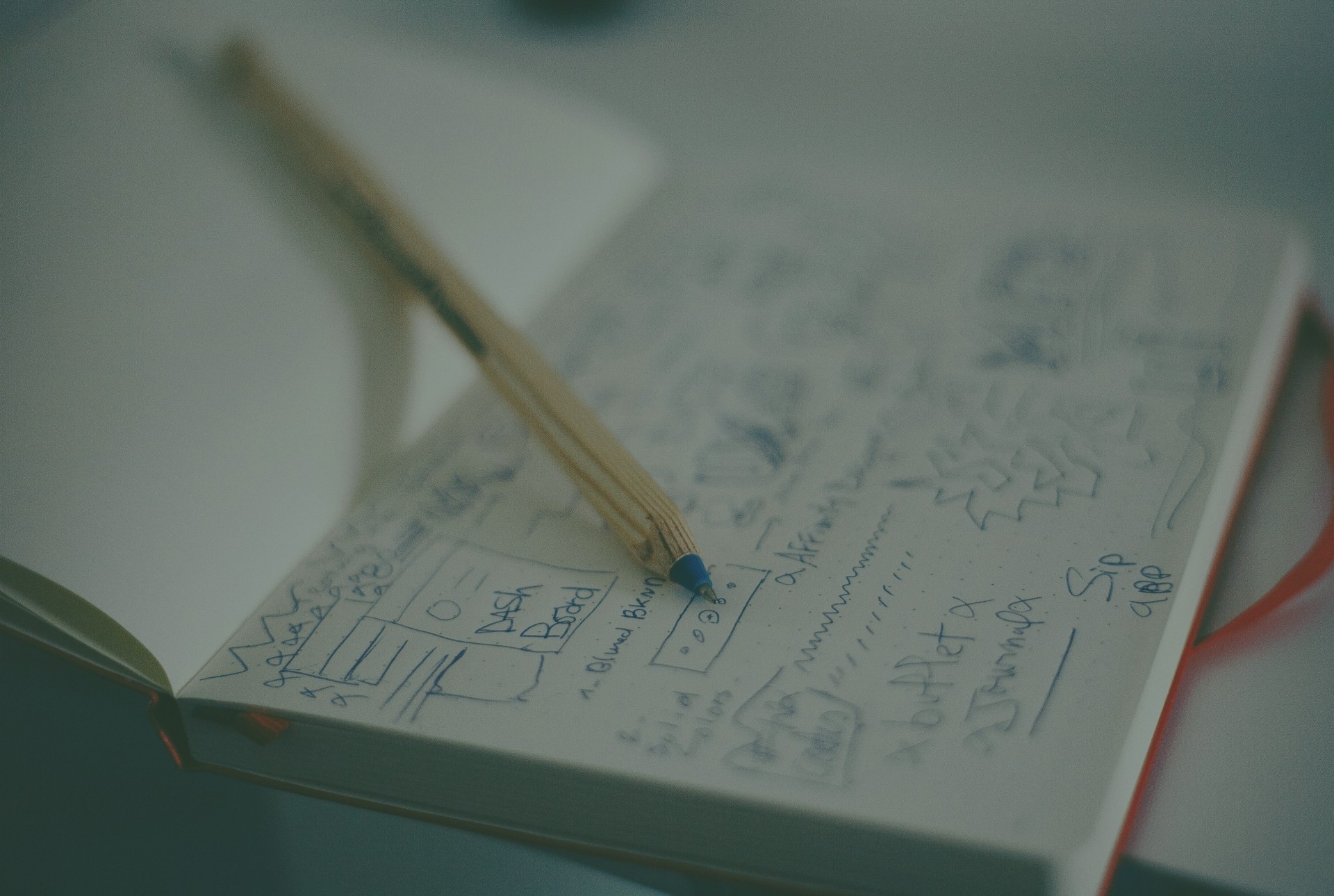 Brand Identity & Visual Systems
