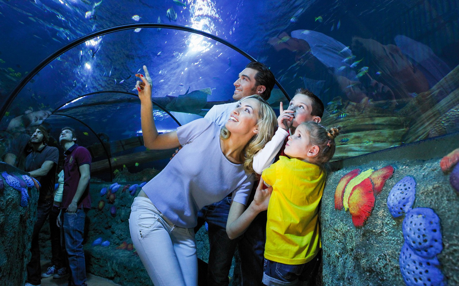 Matka s dětmi pozorují ryby v tunelu v akváriu Sea Life ve Veroně.