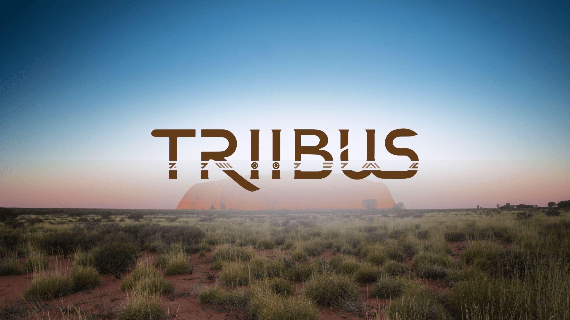 Project showcase TRIIBUS Logo