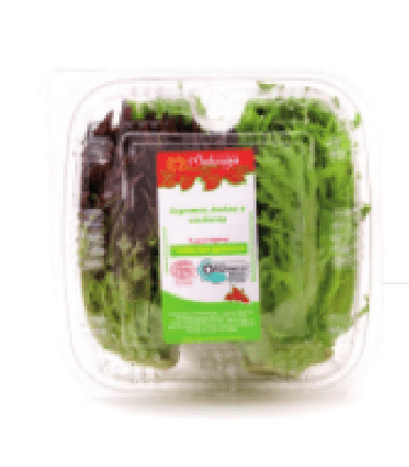 Foto de Alface Salanova