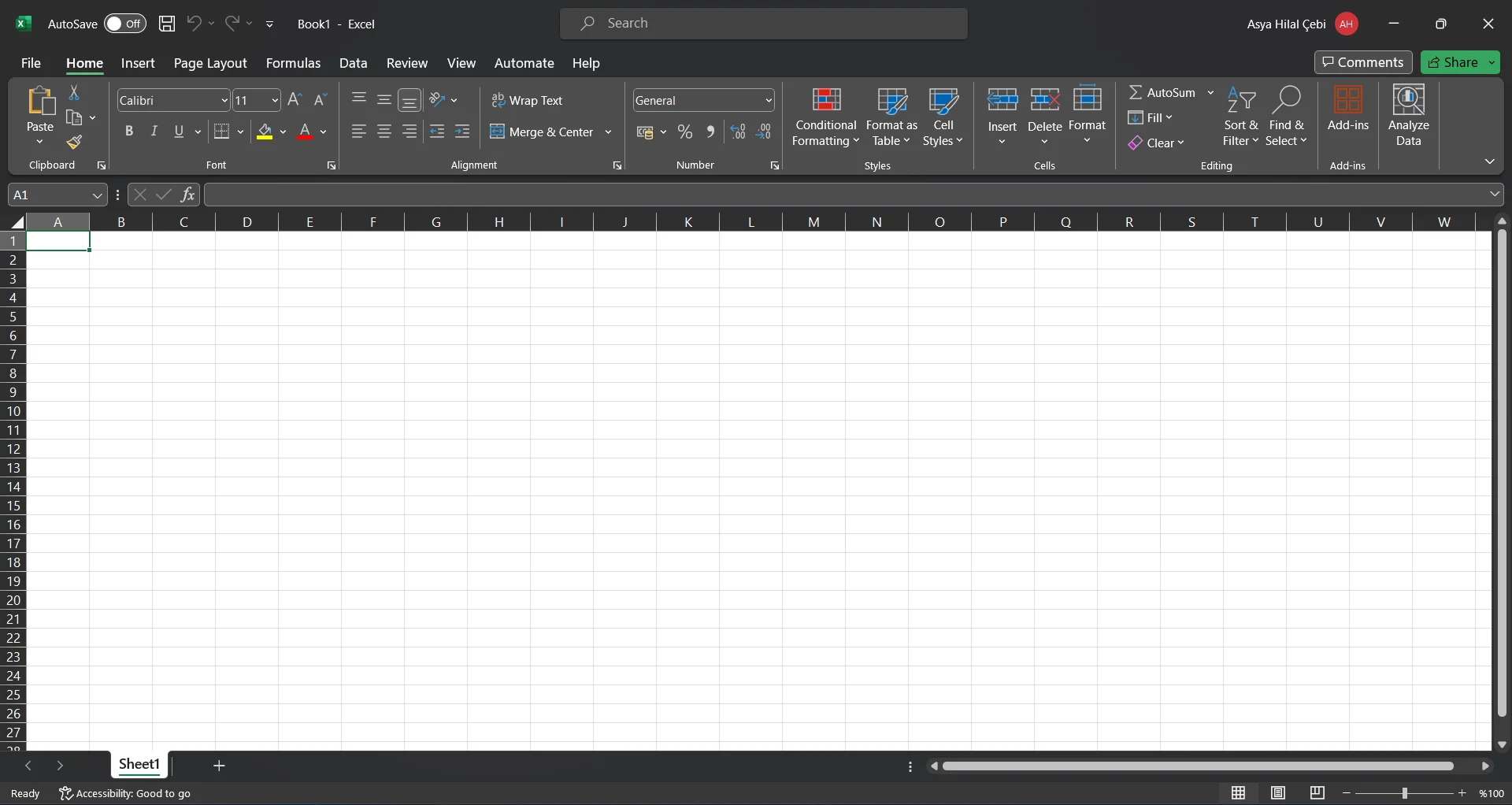 excel