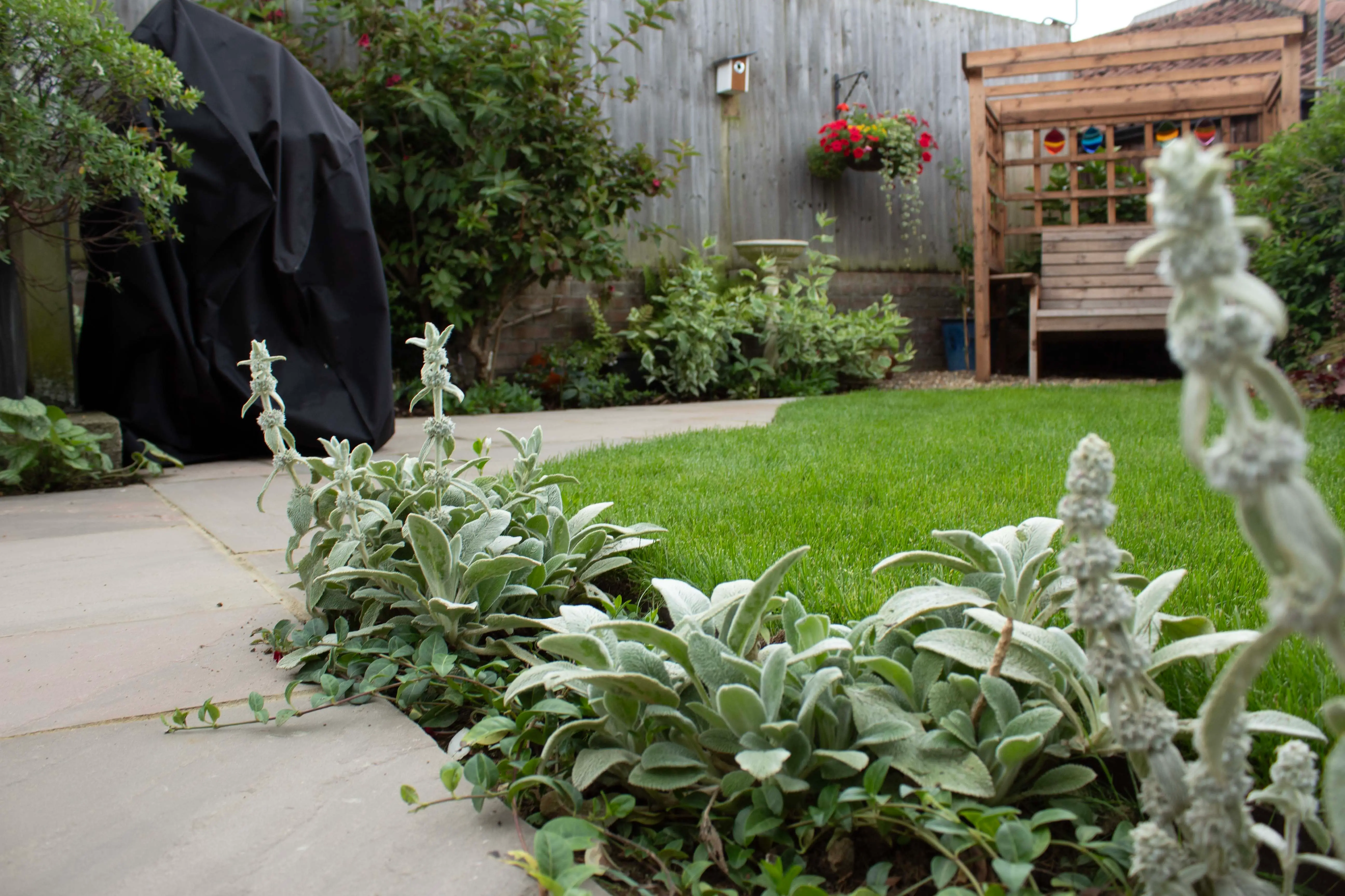 A landscaped garden featuring green grass, white flowering plants, and a cozy seating area in the background.