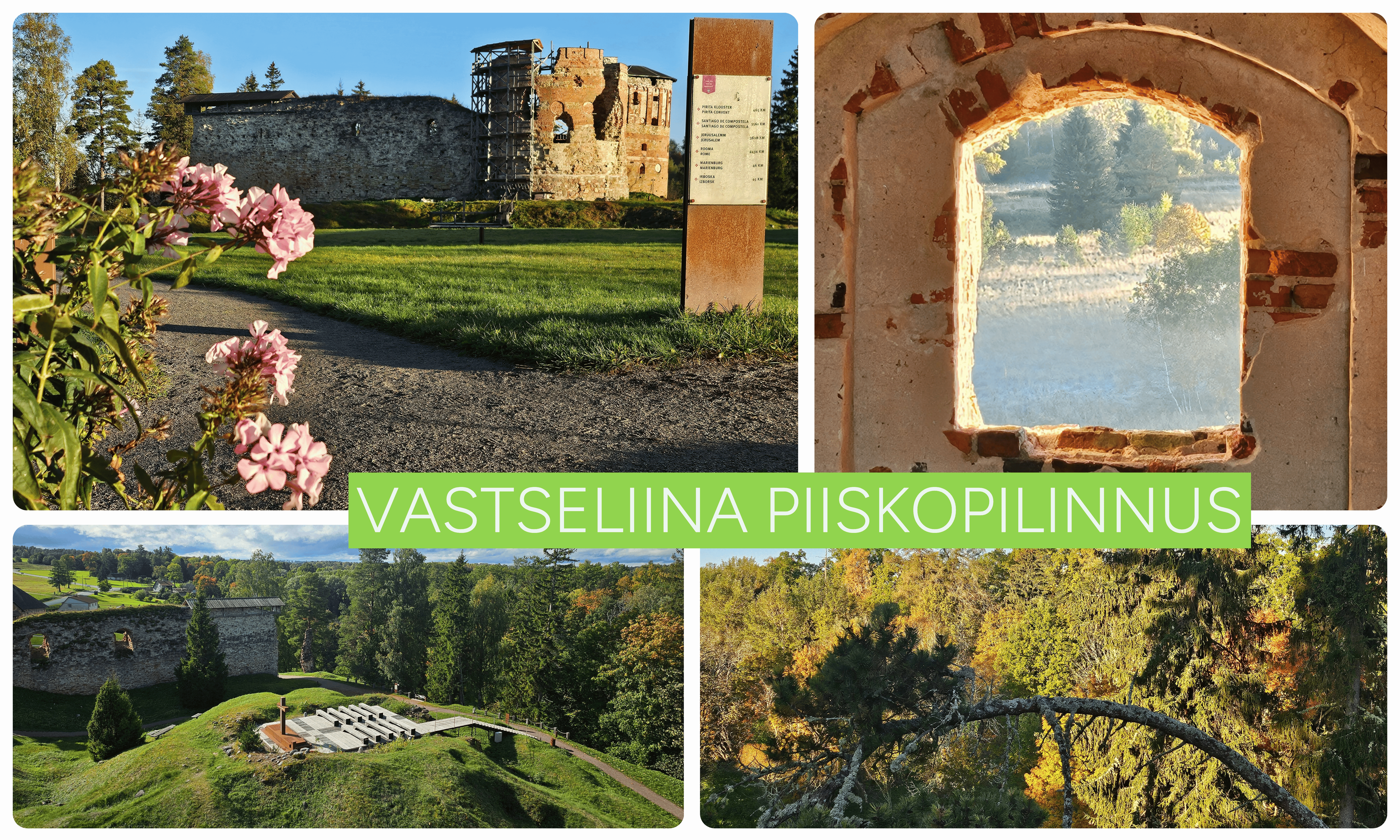 Vastseliina linnus