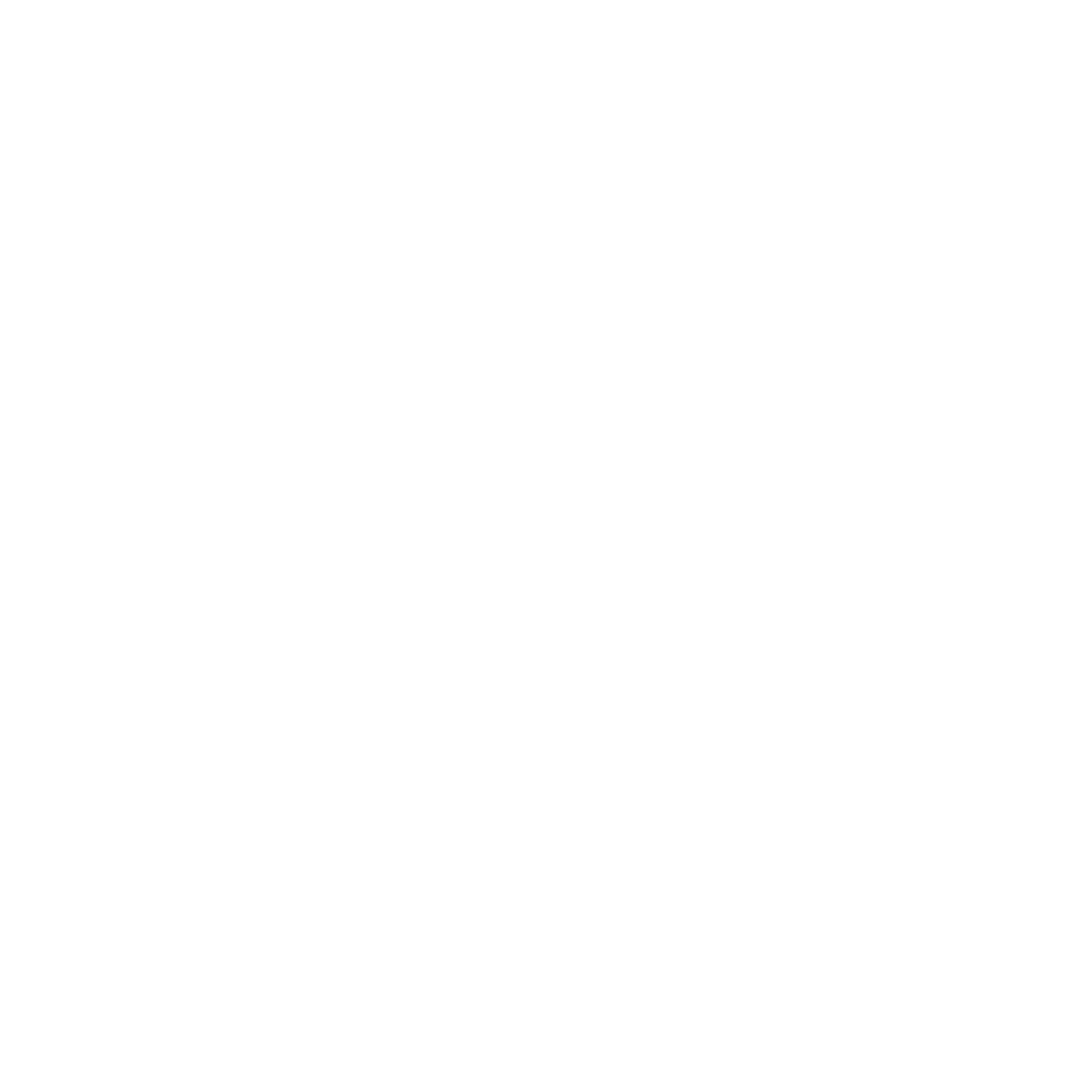 Core Icon