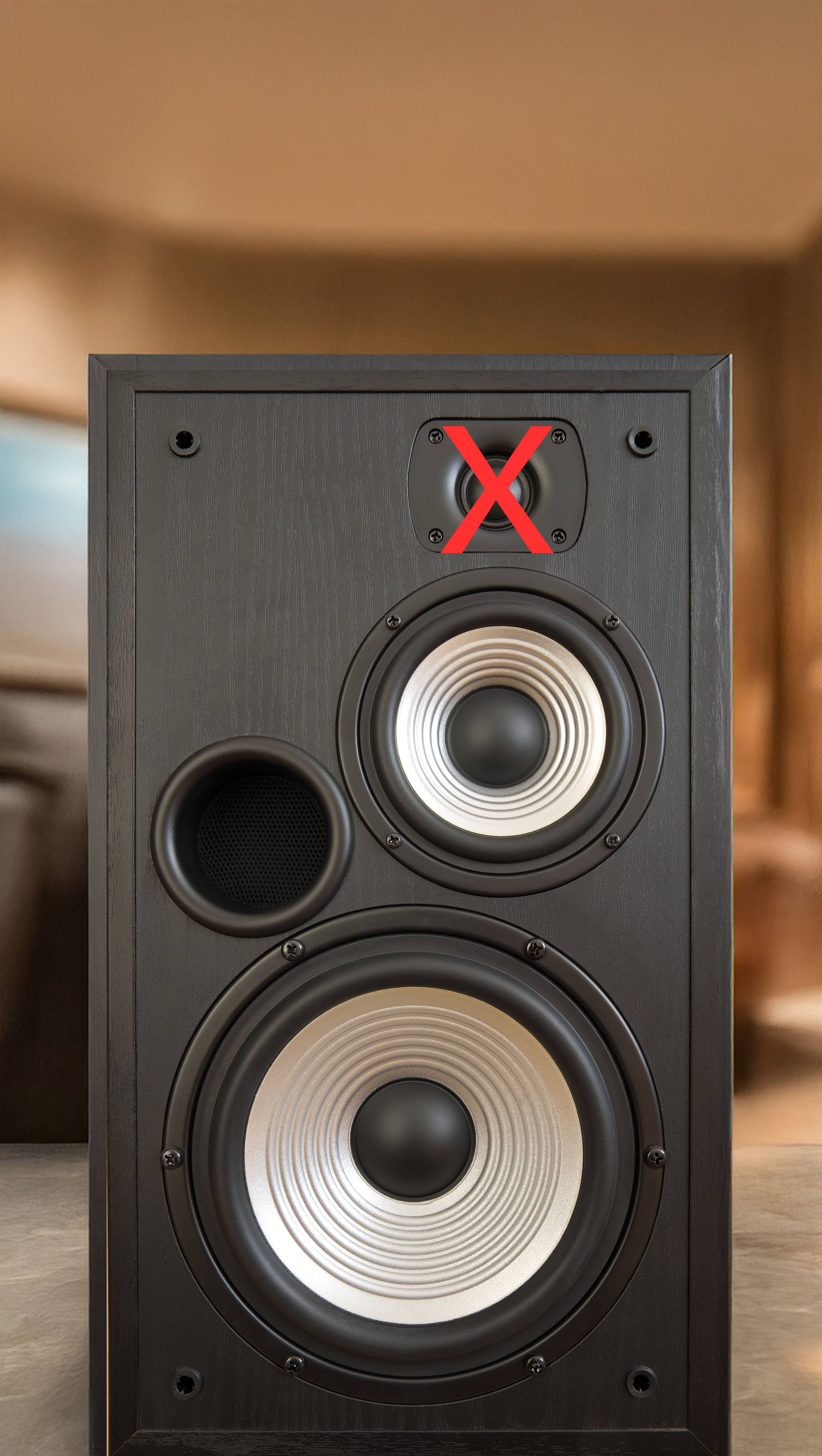 Horn X2PRO replaces tweeter