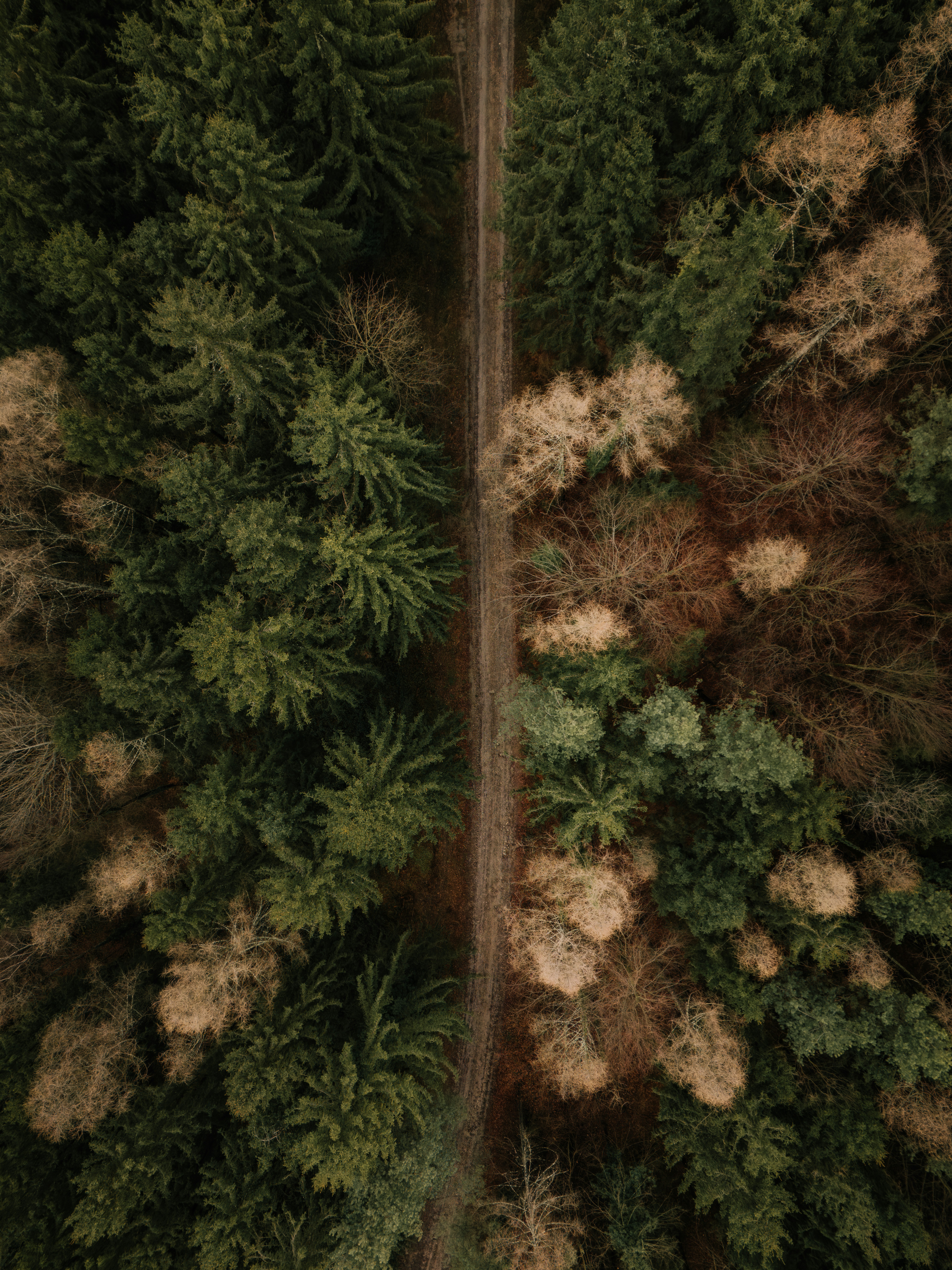 Executive Retention & Reward Architecture