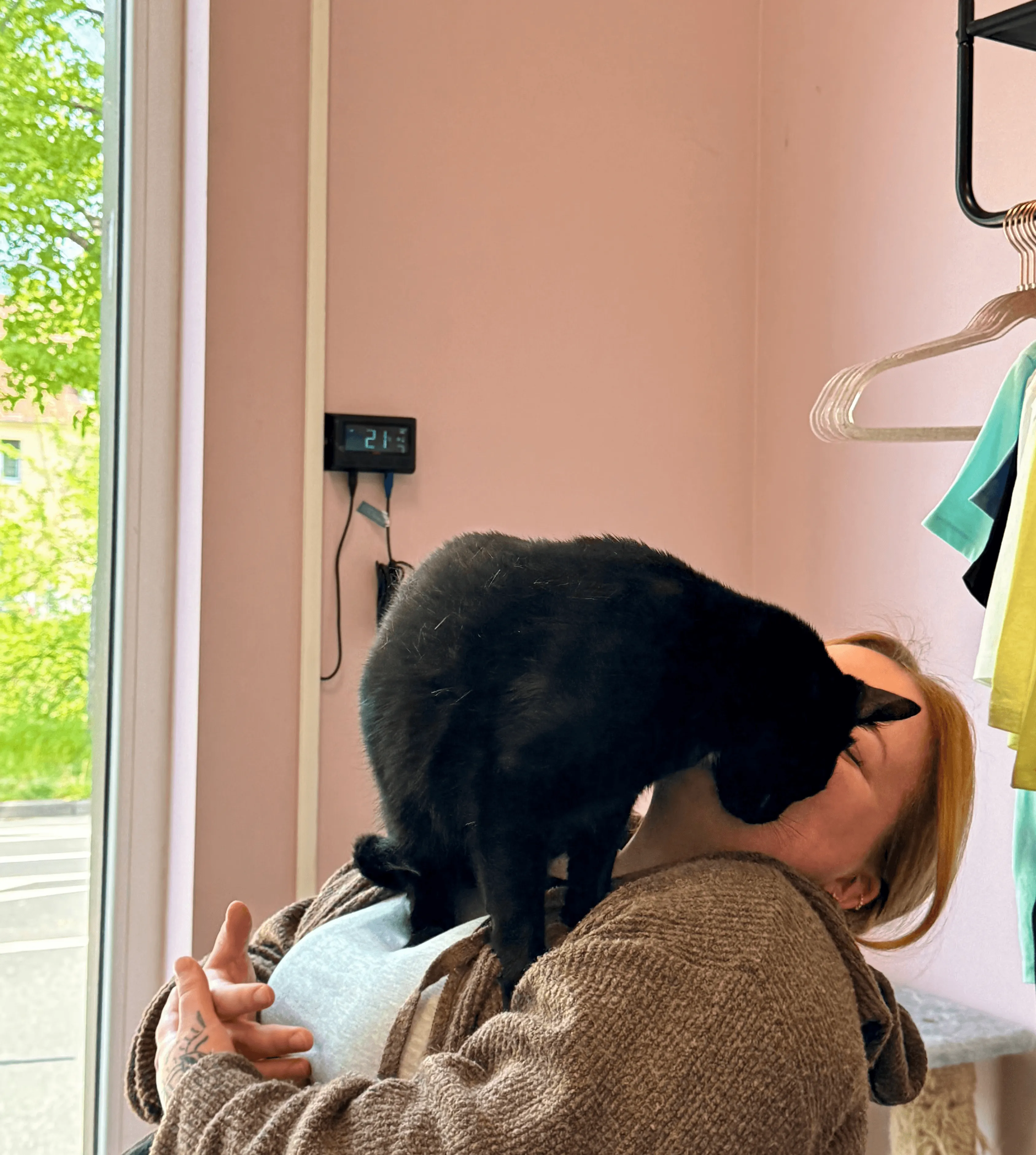 chat-personnel-interieur