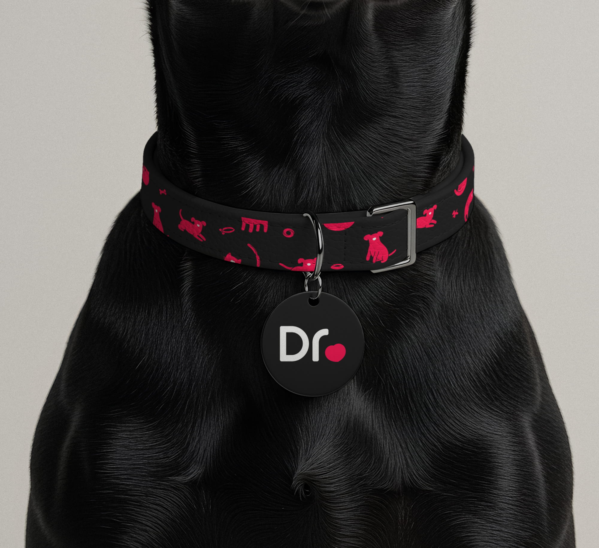Dr. Treat pet healthcare branding by BMEG, featuring a clever logo where a pet’s nose is shaped like a heart, using custom rounded typography to convey a warm, compassionate, and digital-first clinic experience.