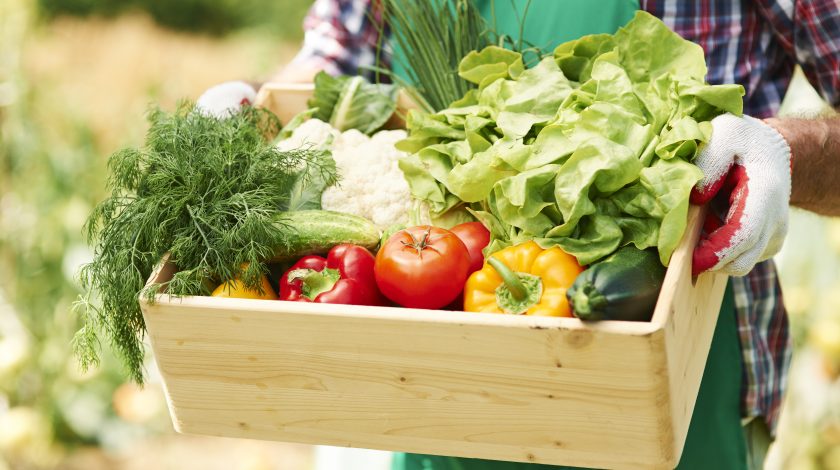 A person holds a wooden crate filled with freshly harvested vegetables, including lettuce, tomatoes, bell peppers, zucchini, cauliflower, and herbs, surrounded by a vibrant garden setting.