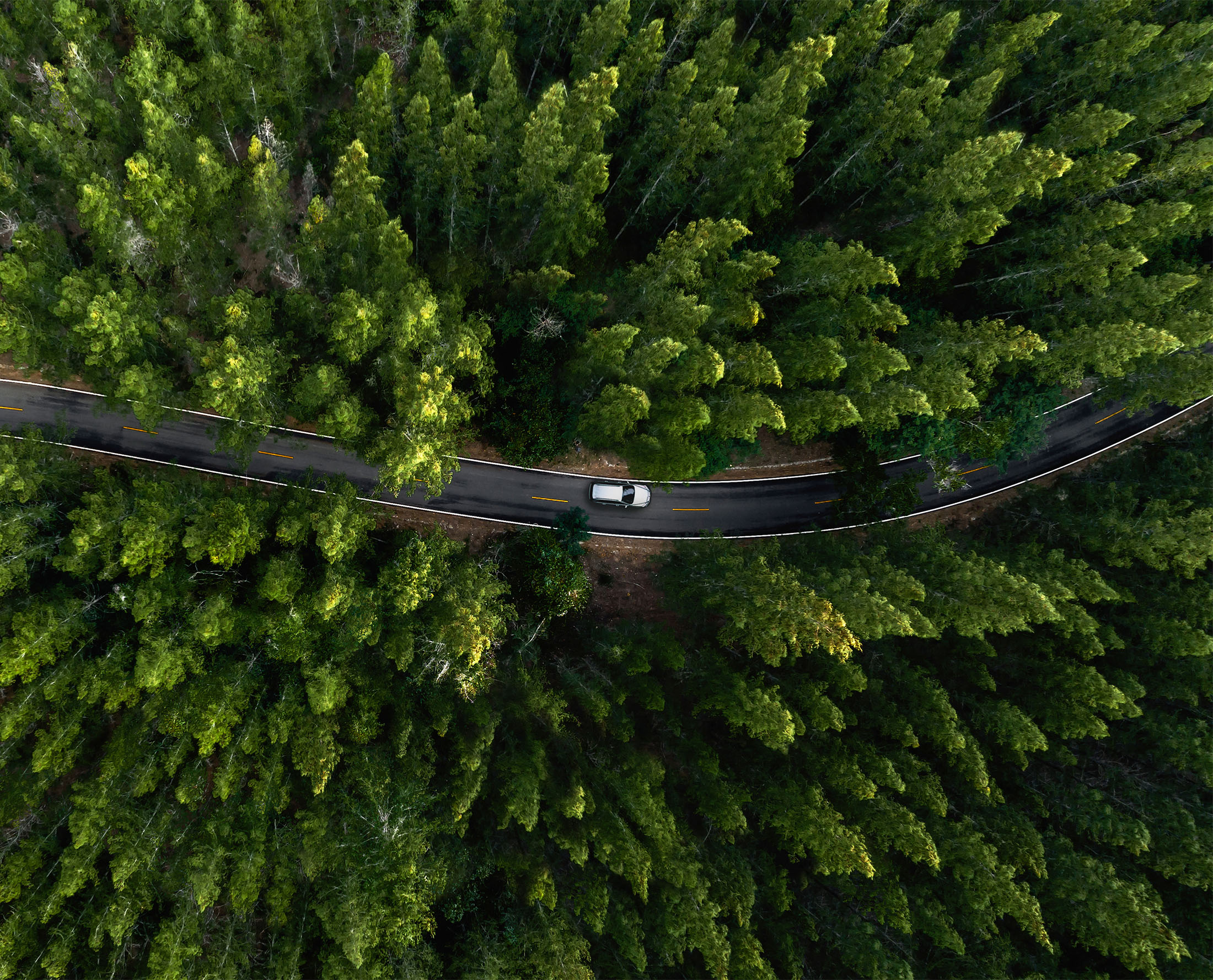 Wind turbine overlooking bright green farmland and scattered buildings