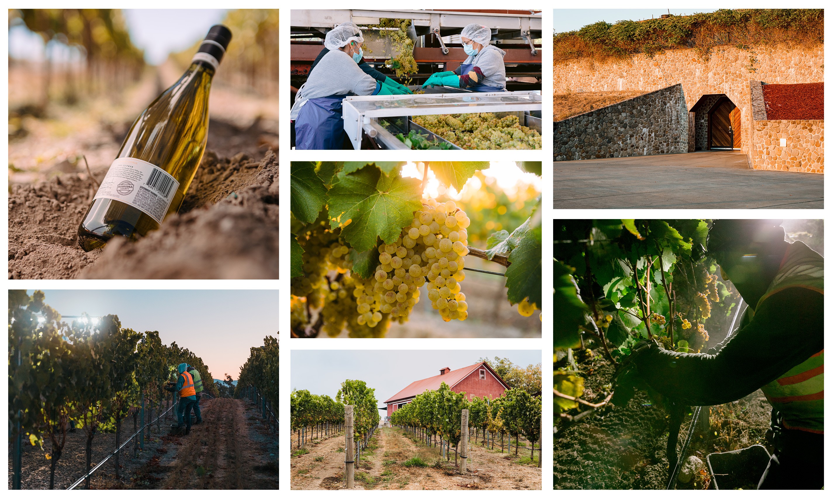 Sonoma-Cutrer Trade Training