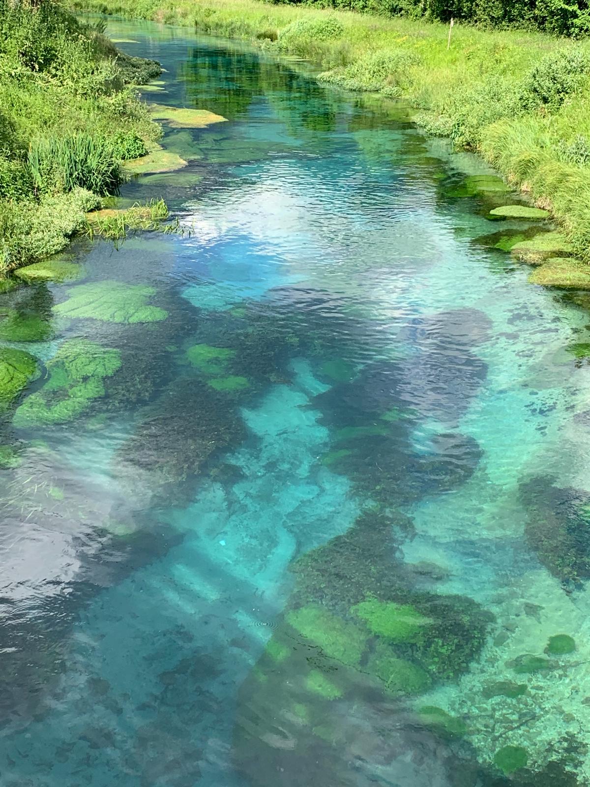 Discover the beauty of fly fishing on the Santa Susanna chalk stream in Lazio. Enjoy trout fishing in scenic settings near Rome and savor the region's renowned food and wine. Expert guides provide instruction in dry fly, streamer, and nymph fishing. Perfect for a memorable Italian excursion.